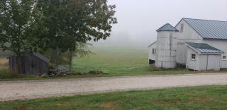 Barn in the mist