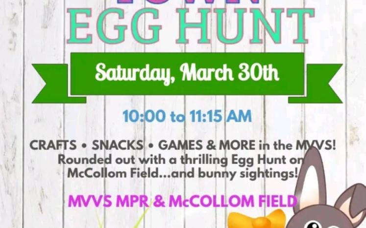 Town Egg Hunt Details